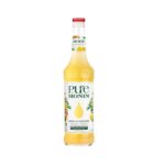 Monin Pure Mango-Tropsko Voće 70cl